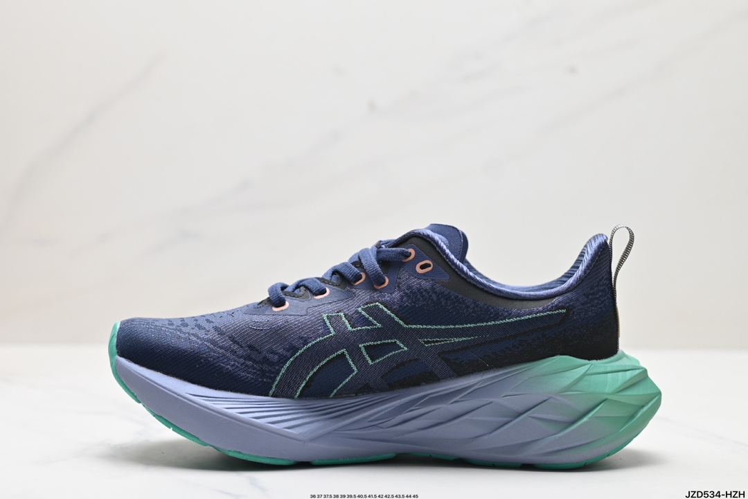 Asics Shoes